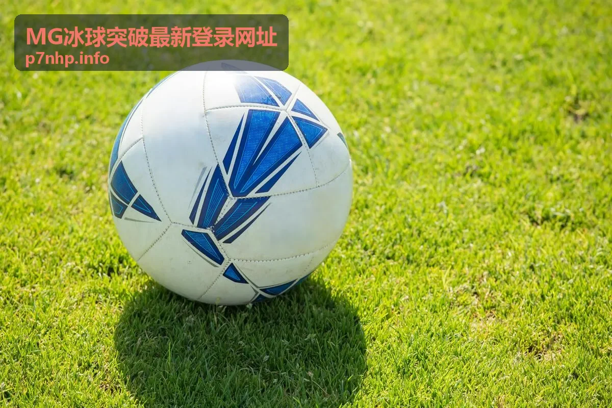 MG冰球突破最新登录网址登录验证指南